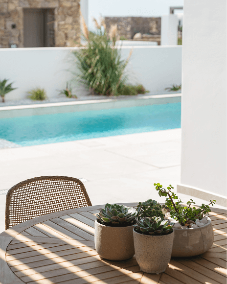 Flower pots on a wooden table with a pool in the background